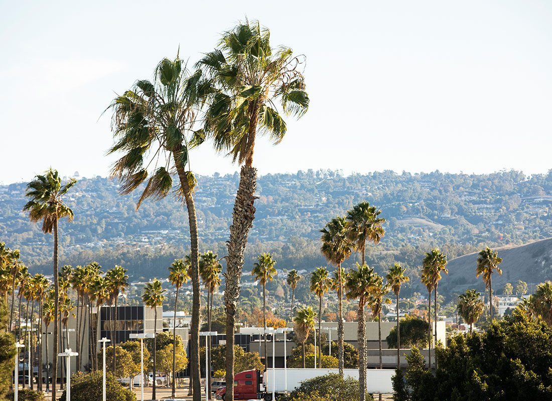 Torrance, CA - Aerial View of Palm Trees Surrounding Buildings in Torrance California with Views of Mountains in the Distance